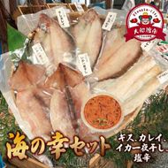 海の幸セット A-3 【ギスの塩干し2～3枚､干しカレイ 3～4枚､スルメイカ一夜干し 2枚､イカの塩辛 1パック】　冷凍 焼くだけ 簡単 【yoshidasyouten012】