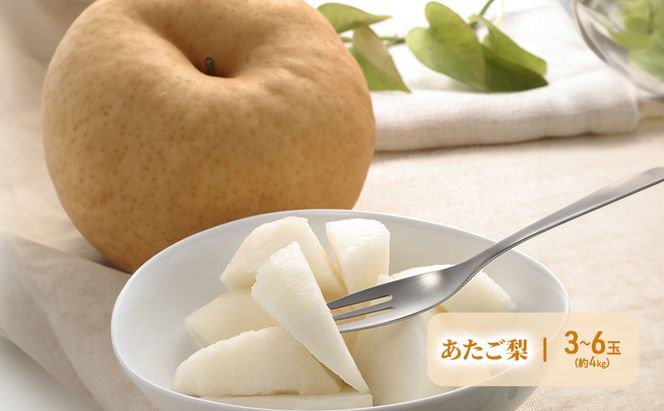 フルーツ 2026年 先行予約 晴れの国 岡山 の フルーツ 定期便 6回コース 岡山県産 桃 もも 葡萄 ぶどう 梨 なし 