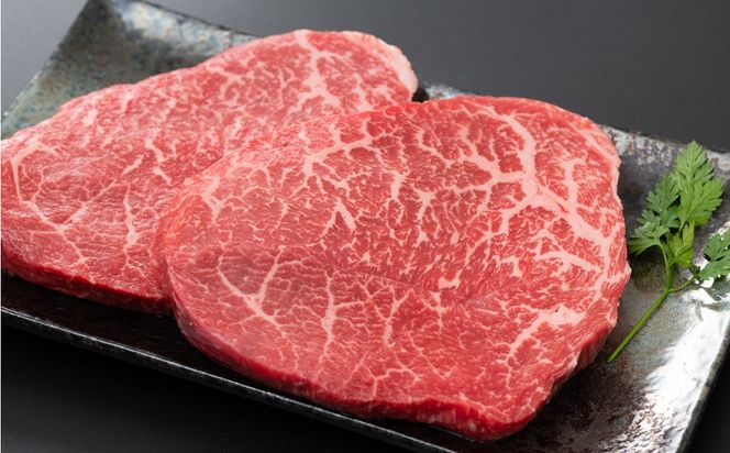 【A4～A5】博多和牛モモステーキ 約500g（100g×5p）【株式会社木村食品】_HA2034　牛肉 国産 ステーキ 福岡県宗像市 宗像市 福岡 宗像