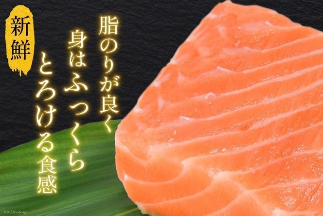 CF02】ノルウェー産 アトランティックサーモン 総重量 1kg (正味