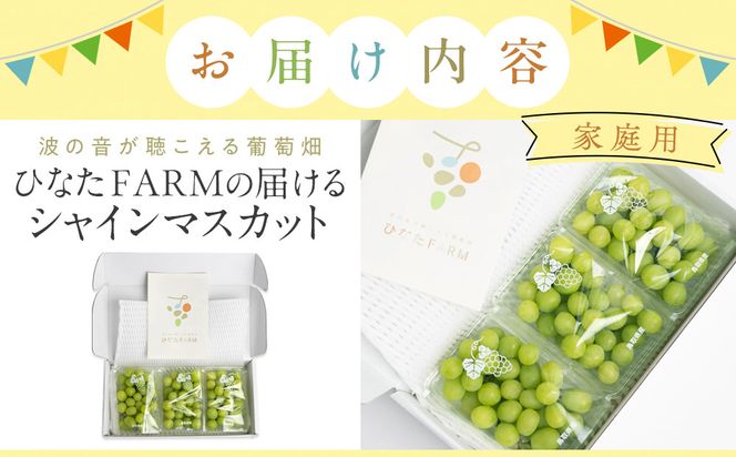 1039.【家庭用】波の音が聴こえる葡萄畑　ひなたFARM シャインマスカット 313726_CD002