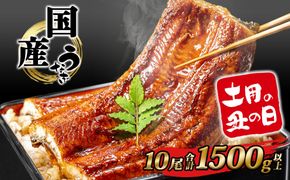【土用の丑の日までにお届け】うなぎ 蒲焼 10尾 1,500g以上 国産 鰻 人気 うなぎ蒲焼き うな重 簡易袋 魚 魚介 ギフト K2394