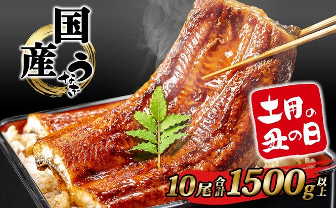 【土用の丑の日までにお届け】うなぎ 蒲焼 10尾 1,500g以上 国産 鰻 人気 うなぎ蒲焼き うな重 簡易袋 魚 魚介 ギフト K2394