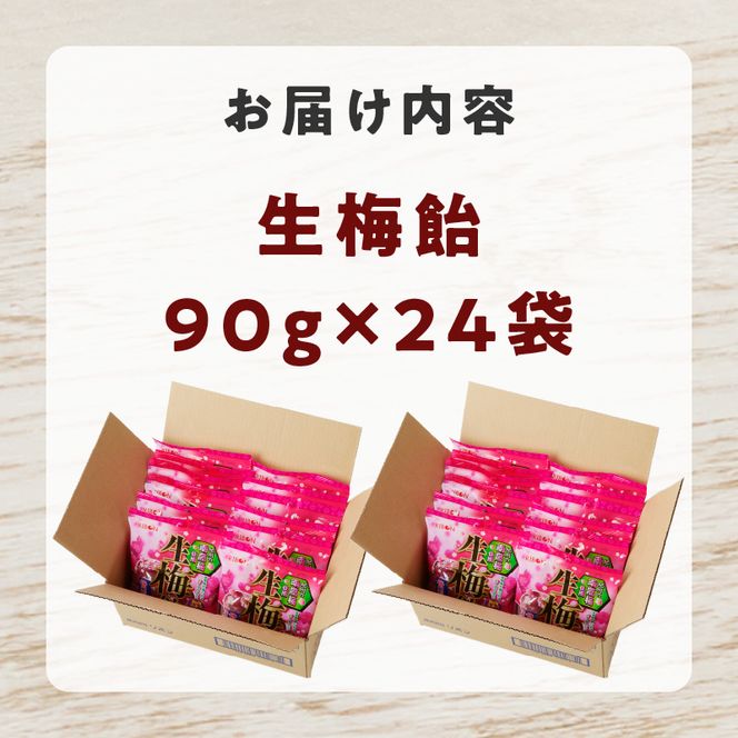 生梅飴［109R02］