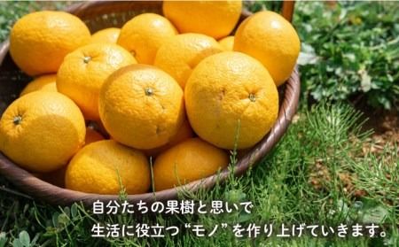 【年内発送】農香 ばぁむ クリーム 《糸島》【わかまつ農園】[AHB004]