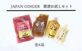 Japan Ginger厳選お試しセット（各種1本）