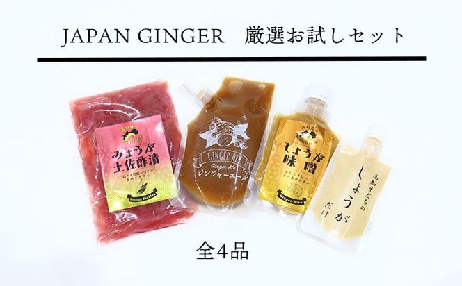 ym̒zJapan GingerIZbgie1{j