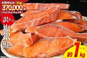 訳あり 銀鮭 切身 約1kg [宮城東洋 宮城県 気仙沼市 20564663] 鮭 海鮮 規格外 不揃い さけ サケ 鮭切身 シャケ 切り身 冷凍 家庭用 訳アリ おかず 弁当 支援 サーモン 銀鮭切り身 魚 わけあり