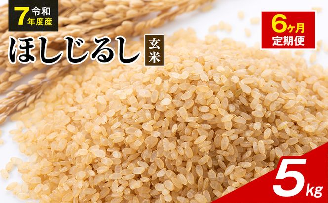 令和7年度産 ほしじるし 5kg 玄米 6ヶ月定期便 米 静岡県 袋井市【離島配送不可】