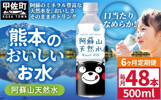 【定期便6ヶ月】熊本のおいしいお水 阿蘇山天然水 500ml×48本（2ケース）（共通返礼品・御船町） - 天然水 水 飲料水 ミネラルウォーター 箱買い まとめ買い ペットボトル 飲料 ウォーター 軟水 防災グッズ 防災 備蓄 ローリングストック ストック 熊本県