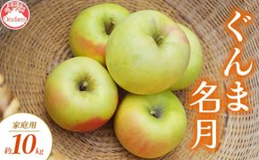 【2026年10月～発送】ぐんま名月 家庭用 約10kg りんご リンゴ 林檎 果物 フルーツ 長野県 長野 山ノ内町