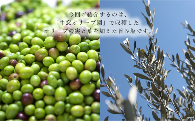 赤屋根オリーブの実と葉入り旨み塩2本セット[№5735-1843]