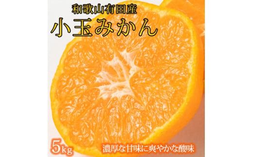 【有田の小粒みかん5kg　(S～3Sサイズ混合) ※2026年11月下旬～2027年1月下旬頃に順次発送予定 / みかん ミカン 蜜柑 温州みかん 柑橘 フルーツ 果物 くだもの 和歌山【uot845】