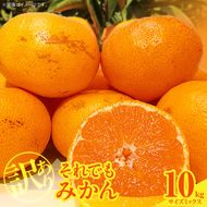 MK1036_【2026年先行予約】訳あり それでも みかん 箱込 10kg ( 内容量 9.2kg ) サイズミックス Ｂ品 有田みかん 和歌山県産 産地直送 家庭用【みかんの会】
