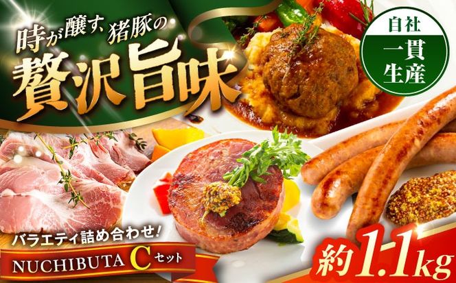 『NUCHIBUTA Cセット』 豚肉 ポークステーキ ハンバーグ ソーセージ ベーコン ハム 詰め合わせ お取り寄せ 国産 ギフト 冷凍 沖縄市 / DELICATESSEN NUCHIBUTA [BCAR005]