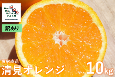 【先行予約】【訳あり】清見オレンジ 約10kg | 柑橘 みかん 果物 フルーツ 愛媛県産 農家直送　※離島への配送不可　※2025年3月中旬頃に順次発送予定