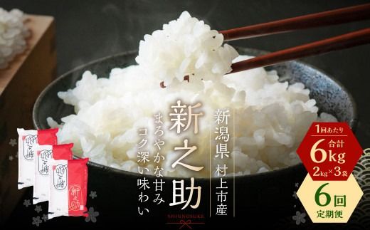 【令和7年産米】【6ヶ月定期便】村上市産 新之助 36kg （6kg×6ヶ月）コース 1027037