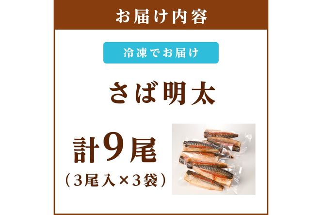 【B4-043】さば明太 9尾