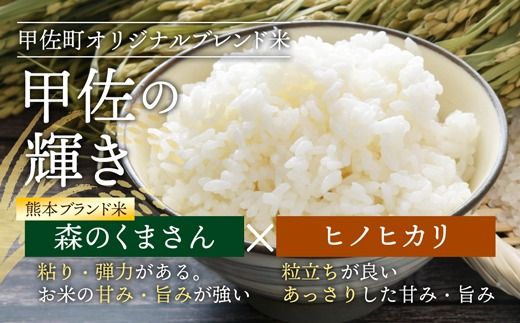 【先行受付】新米 令和7年産『甲佐の輝き』精米10kg（5kg×2袋）【2025年10月より配送月選択可！】- 国産 白米 精米 お米 ブレンド米 複数原料米 訳あり 厳選 マイスター 生活応援 ひのひかり 森のくまさん おすすめ 熊本県 甲佐町【価格改定XJ】