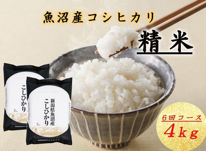 T-13【令和7年産 頒布会】魚沼産コシヒカリ 4kg×全6回米 コメ こしひかり 精米 ブランド米 お取り寄せ 十日町市