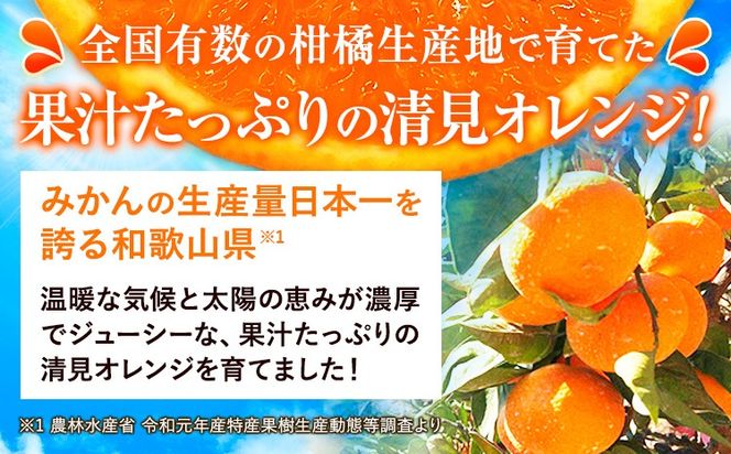 ＜先行予約＞とにかくジューシー 清見 オレンジ 2.5kg 株式会社魚鶴商店《2026年3月下旬-4月中旬頃出荷》和歌山県 日高町 柑橘 果物 フルーツ 清見オレンジ---wsh_uot134_3g4c_25_10000_2500g---