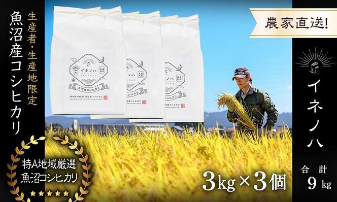 【令和7年産】 魚沼産コシヒカリ 「イネノハ 」精米(3kg×3) お米 白米 ご飯 産地直送 ミネラル 栄養分 こだわり 人気 新鮮 