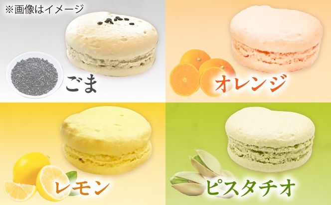 マカロン 10個入り 洋菓子 マカロン スイーツ 愛西市 / スイーツカフェハル[AEDP005]