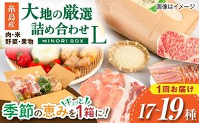 糸島産 肉 米 野菜 果物 厳選詰め合わせ MINORI BOX Lサイズ 糸島市 / emma.Inc / 米 肉 野菜 果物 詰め合わせ[AOP015]