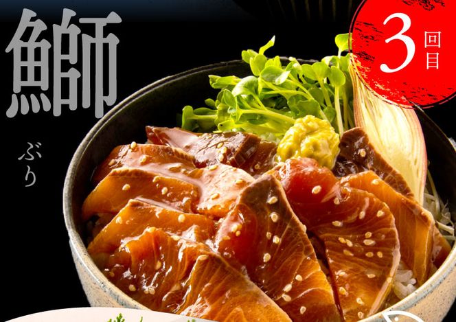 【CF-R7hbk】t022kyf　海鮮 芸西村4ヵ月連続定期便 人気海鮮返礼品を集めた定期便／1回目：訳ありかつおたたき1.5kg、2回目：真鯛の漬け丼、3回目：ブリ漬け丼、4回目：かんぱち漬け丼 高知 土佐 かつおたたき 訳あり 訳 お楽しみ〈高知県・高知市共通返礼品〉