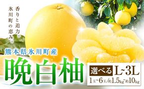 柑橘 晩白柚 選べる L 2L 3L 1玉 ～ 6玉 約1.5kg～10kg 日本フルーツ株式会社《12月上旬-2月末頃出荷》熊本県 氷川町 ばんぺいゆ 果物 フルーツ 大玉 爽やか 甘み 酸味 香り 常温保存 柑橘類 冬 果肉 プリッ 食べ応え---hkw_nhf_1_1500g---