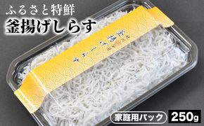 ふるさと特鮮釜揚げしらす 250g 【家庭用パック】｜しらす 魚 鮮魚 減塩 採れたて 国産 お米 ご飯 ごはん  丼 ※北海道・沖縄・離島へのお届け不可 ※年末年始のお届け不可