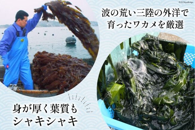 わかめの王様 三陸産 金のわかめ 200g [ムラカミ 宮城県 気仙沼市 20563538_CF02]