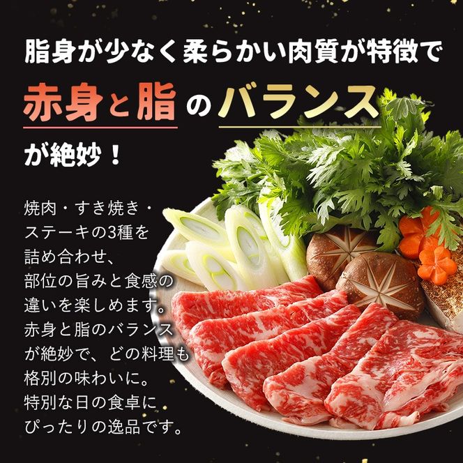 北海道 士幌黒牛 十勝ポテ牛（も～）ビーフ サーロイン バラエティ セット 800g 焼肉 ステーキ すき焼き ブランド牛 牛 赤身肉 国産牛 牛肉 国産 肉 ビーフ セット 焼き肉 肉じゃが 冷凍 詰合せ お取り寄せ【ST01-05】