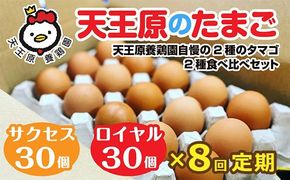【定期便】8回定期【天王原のたまご】 サクセス卵30個/ロイヤル卵30個 【8回定期便 セット たまご 卵 玉子 タマゴ 濃厚 食べ比べ ハリ 弾力 ボリューム 甘味 旨味 卵黄 風味 生 コク 甘味 卵かけご飯 卵焼き 目玉焼き オムレツ 茶碗蒸し お菓子作り パンの材料】