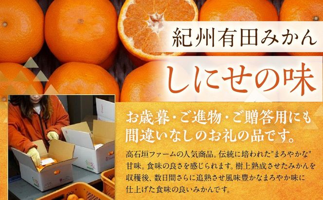 有田みかん しにせの味 約5kg 2S～2Lのいずれか 秀品または優品 K003
