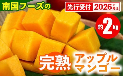 yꌧdzystzy2026Nz썑t[Y̊nAbv}S[ 2kg - s\ ꌧY Yn 썑t[c {̖o {̃t[c 蕨 Mtg ꌧ d