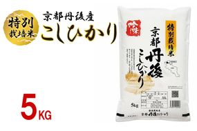 【最高級自慢のお米】京丹後産特別栽培米こしひかり 5kg　LS00005