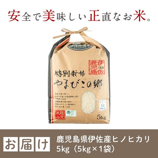 isa816 特別栽培ヒノヒカリ(5kg・5kg×1袋) 鹿児島 お米 米 白米 精米 伊佐米 ひのひかり 【やまびこの郷】