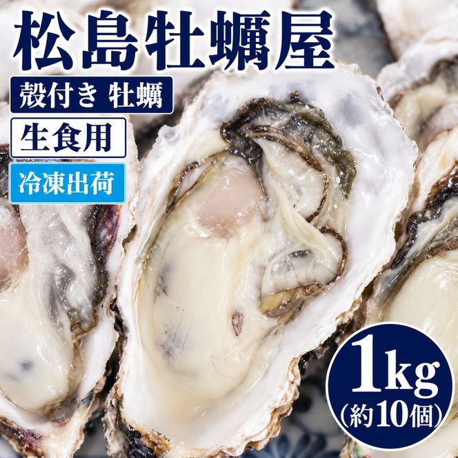 冷凍出荷 殻付き 牡蠣 生食用 1kg (約10個) 宮城県産 冷凍牡蠣 送料無料 生牡蠣 かき カキ 松島牡蠣屋 産地直送 ふるさと納税 冷凍保存 お歳暮 ギフト 魚介類 流水解凍