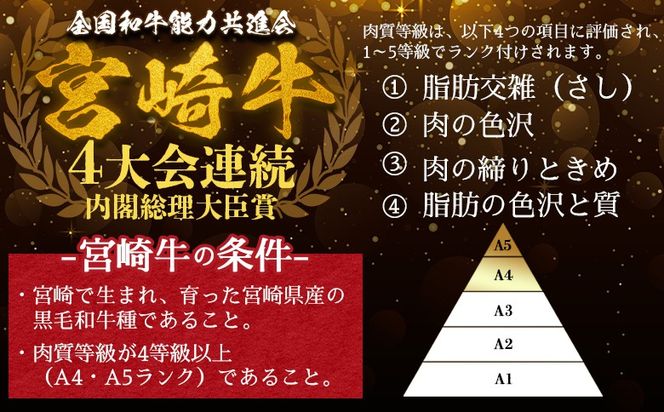 ＜【新鮮チルド】宮崎牛特選サーロインステーキ 合計600g＞入金確認後、14営業日以内に順次発送 【 A5等級 ランク 最高等級 高級 お肉 ステーキ 和牛 黒毛和牛 ブランド牛 真空パック 個包装 新鮮 鮮度 】【b1075_no】