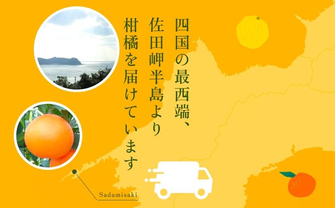 【先行予約】【贈答用】紅まどんな（2.5kg/Mサイズ）※離島への配送不可（2026年12月上旬より順次発送予定） IKTBD003