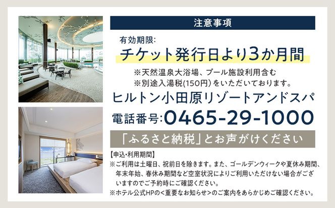 ヒルトン・スーペリア・ツインルーム宿泊プラン　1泊夕朝食付き＜1組2名様＞★オーシャンビュー！天然温泉大浴場、プール施設利用含む【オーシャンビュー フィットネス 天然温泉大浴場 バーデゾーン ヒルトン 神奈川県 小田原市 】● 142069_BG004