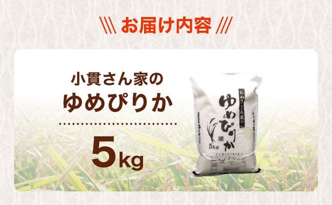 ◆R7年産◆ JGAP認証【おぬきさん家のゆめぴりか】5kg ≪北海道伊達産≫ maru-002