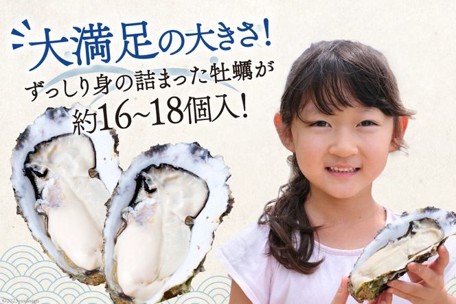【期間限定発送】 TVで紹介！ 牡蠣 3～4年モノ 生食 殻付き牡蠣 約3kg(約16-18個入) [住喜水産 宮城県 気仙沼市 20564186_CF03] 期間限定 冷蔵 新鮮 濃厚 真牡蠣 カキ かき 生牡蠣 魚貝類 生牡蠣 貝 海鮮 魚介類 なべ カキフライ 牡蠣ご飯 魚介