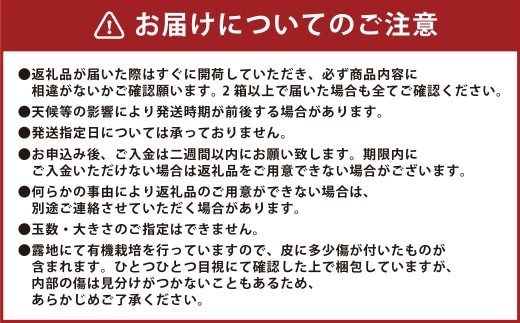 【先行受付】 特選 みかん 5kg 糖度保証 12度！ 【2026年12月上旬から12月下旬発送予定】 温州みかん 果物 フルーツ ミカン 蜜柑 柑橘