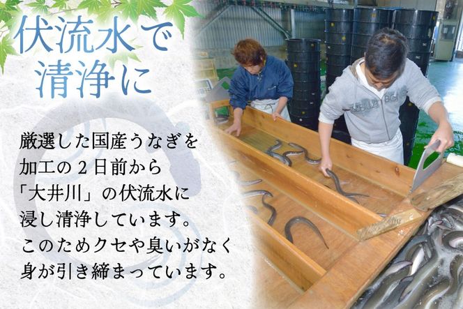 うなぎ 国産 蒲焼 定期便 145g前後 4尾 3回 総計12尾 真空パック タレ 山椒 付き 冷凍 [マルニうなぎ加工 静岡県 吉田町 22424476] 鰻 ウナギ 蒲焼き うなぎ蒲焼 うなぎ蒲焼き 鰻蒲焼き ウナギ蒲焼き 国産うなぎ蒲焼き unagi