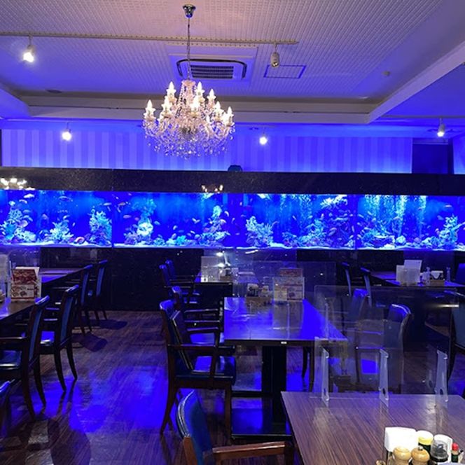 167-66-001　レストランメヒコアクアワールド特別ご優待券3000円分【 お食事券 茨城県 日立市 】