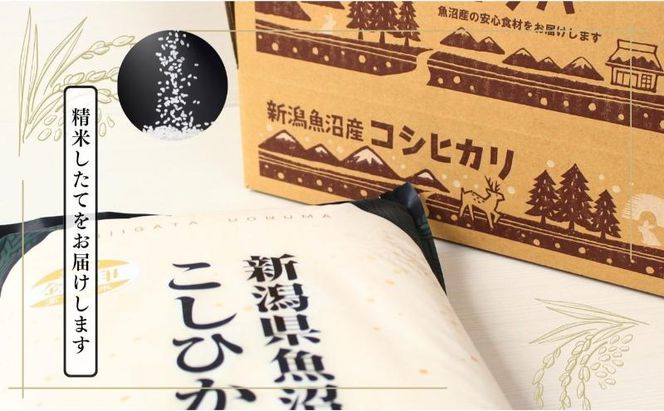 【定期便全6回毎月発送】魚沼産コシヒカリ金印(精米)10kg 米 こしひかり 定期 新潟 十日町市