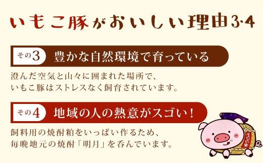 豚肉 宮崎県産 いもこ豚 焼肉 セット 2.1kg 切り落とし 小分け 豚 豚バラ バラ ロース 肩ロース スライス 小間切れ 焼肉用 焼き肉 BBQ 鉄板焼き 豚丼 国産 九州産 宮崎 ブランド 冷凍 送料無料