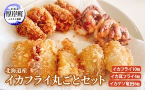 北海道産イカフライ丸ごとセット (イカフライ 10粒 イカ耳フライ 4粒 イカゲソ 竜田 6粒 )  イカ 揚げ物 冷凍 